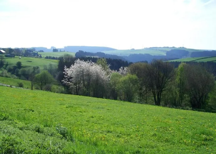 Сasa de vacaciones Family Retreat Hellenthal