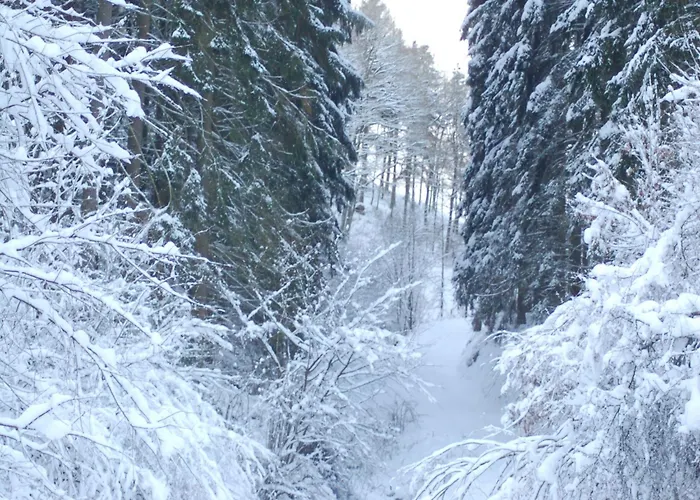 Сasa de vacaciones Family Retreat Hellenthal